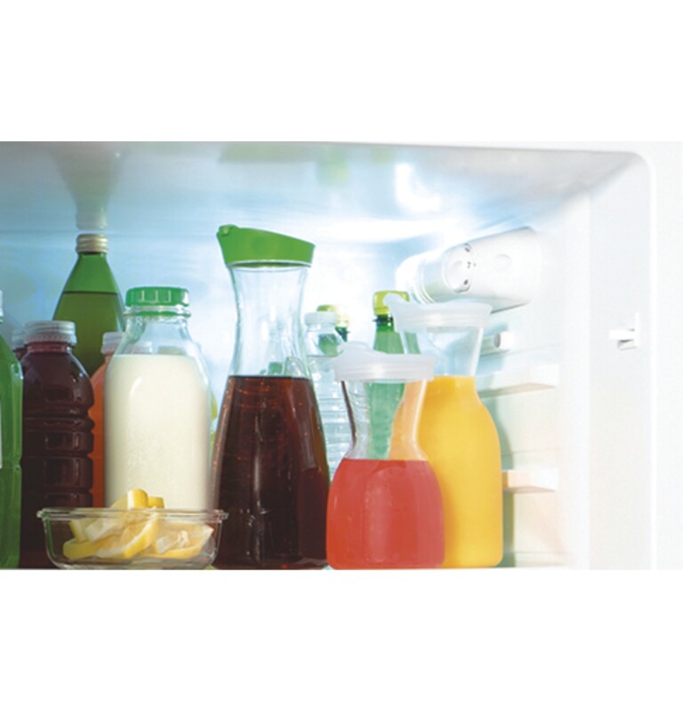9.8 Cu. Ft. 12 Volt DC Power Top-Freezer Refrigerator GPV10FGNBB
