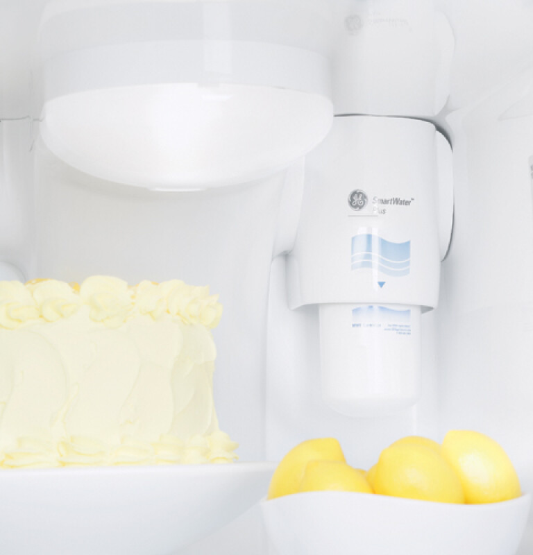 25.3 Cu. Ft. Side-By-Side Refrigerator with Dispenser GSF25IGZBB