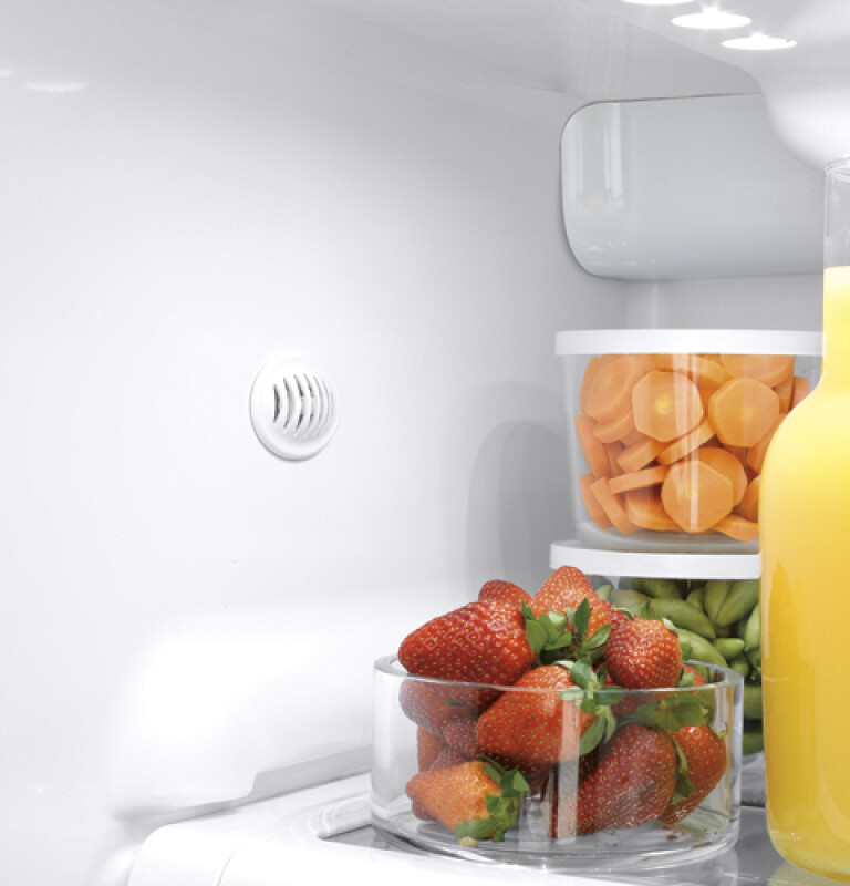 29.1 Cu. Ft. Side-by-Side Refrigerator with Integrated Dispenser GSHF9NGYWW