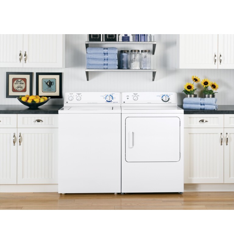 6.0 cu. ft. capacity DuraDrum electric dryer GTDX100EMWW