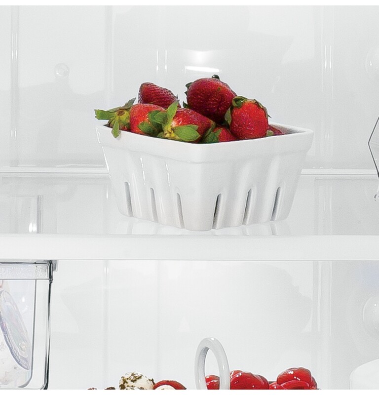 16.5 Cu. Ft. Top-Freezer Refrigerator GTH17GBEWW