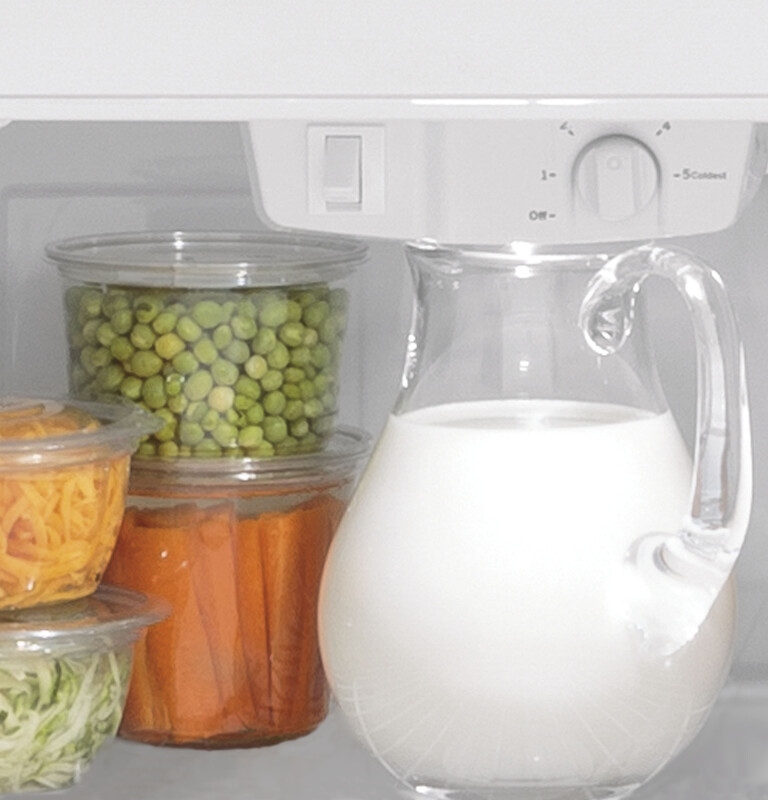 GE 17.5 Cu. Ft. Top-Freezer Refrigerator White GTS18HGNRWW Picture 1