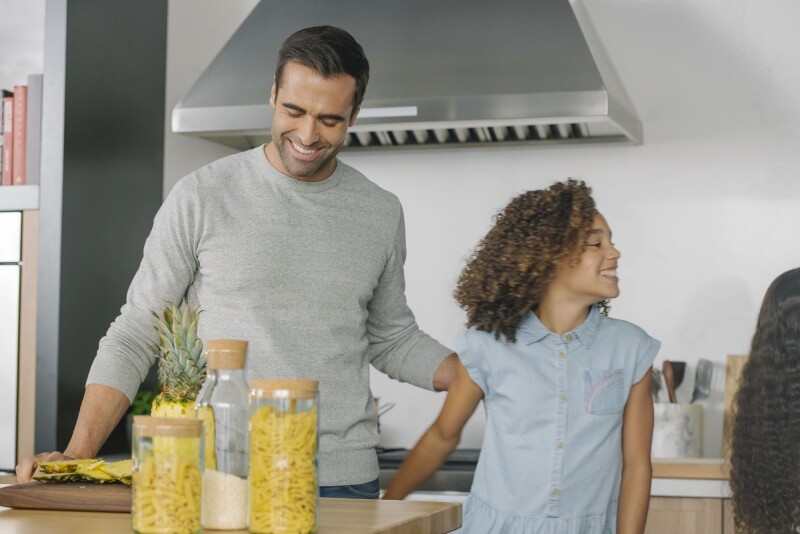 Professional Pyramid Chimney Wall Hood 48" HPCN48WS