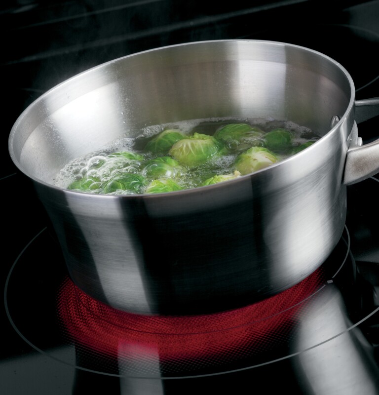 30" Free-Standing Electric Convection Range JB690DFBB