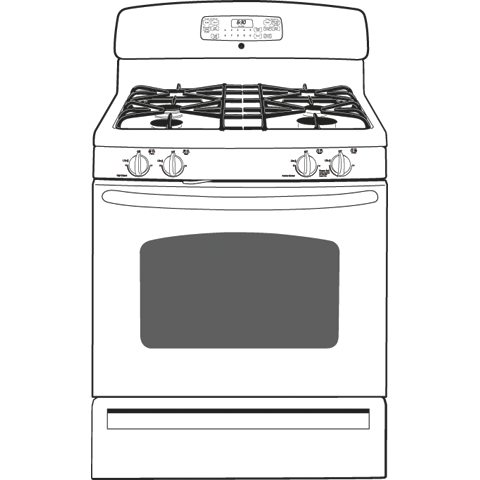 30" Free-Standing Gas Convection Range JGB295DERWW