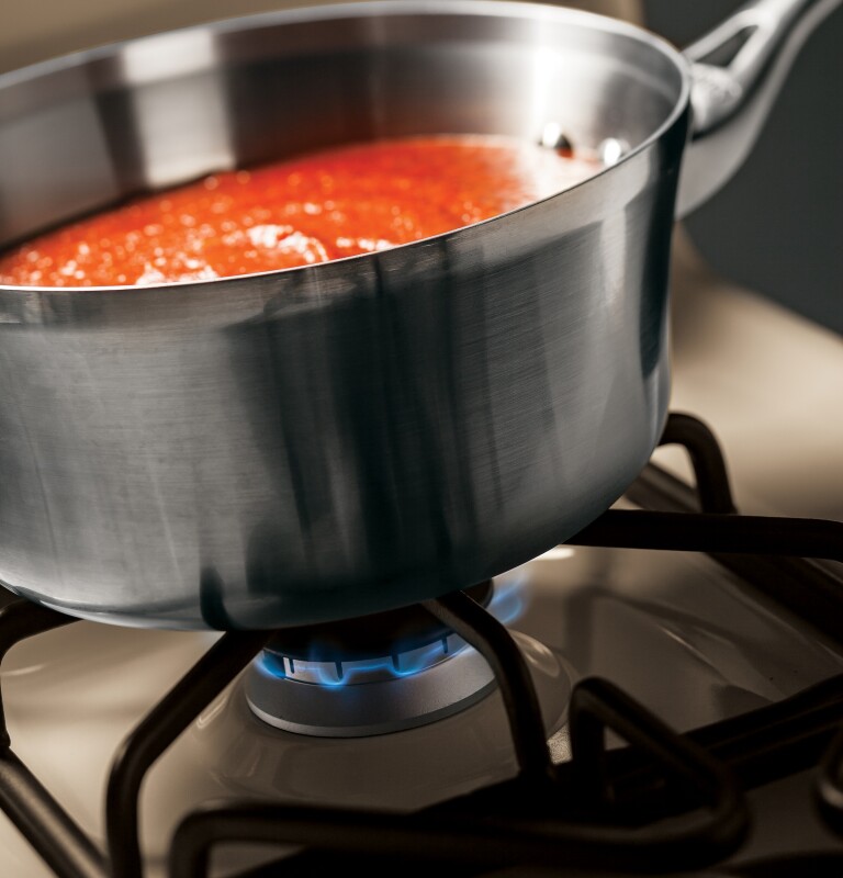 30" Free-Standing Gas Range JGBS60DEFCC