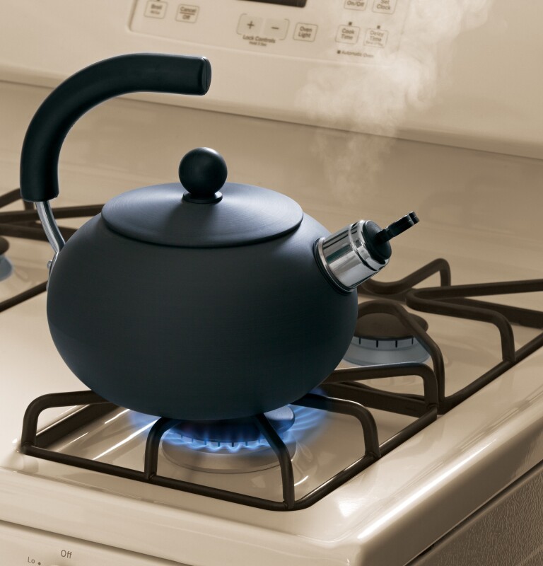 30" Free-Standing Gas Range JGBS60DEFCC