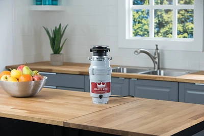 Legend 1/2 horsepower garbage disposal L1001