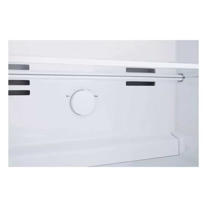 11 cu.ft. Top Mount Refrigerator LT11C2000V