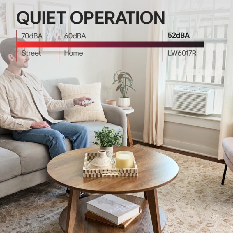 6,000 BTU Window Air Conditioner LW6017R