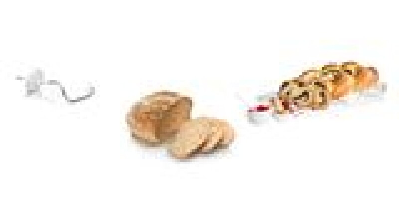 Kitchen machine MUM4 450 W MUM4405UC