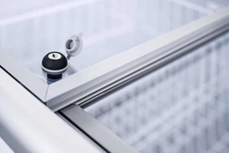 21.3 Cu.Ft. Chest Freezer NOVA61