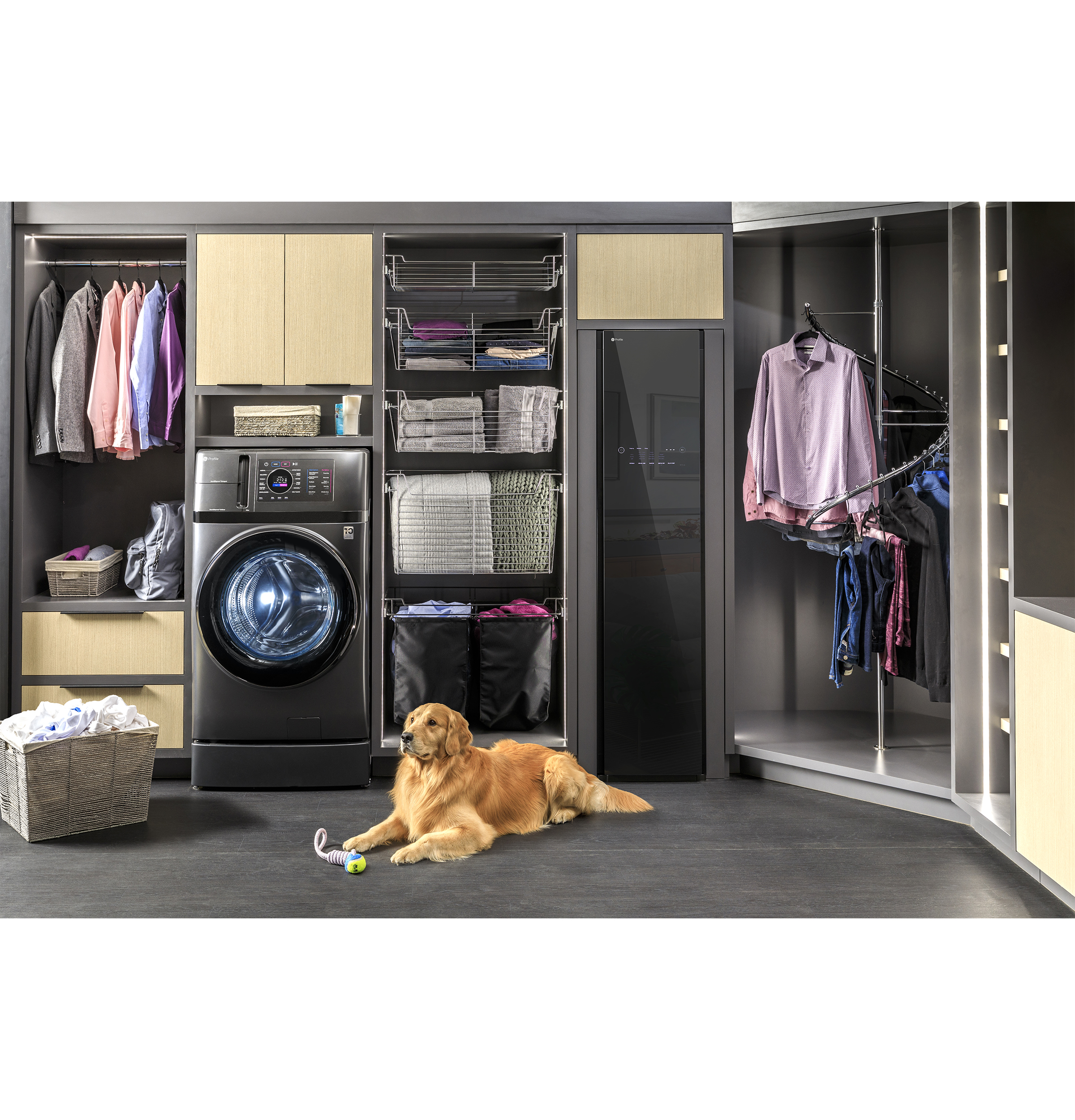 Steam Closet with Fabric Refresh PFH18HSPVMC