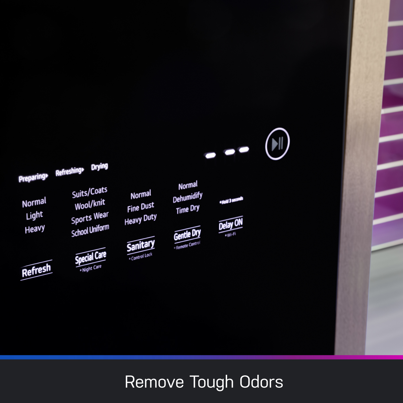 Steam Closet with Fabric Refresh PFH18HSPVMC