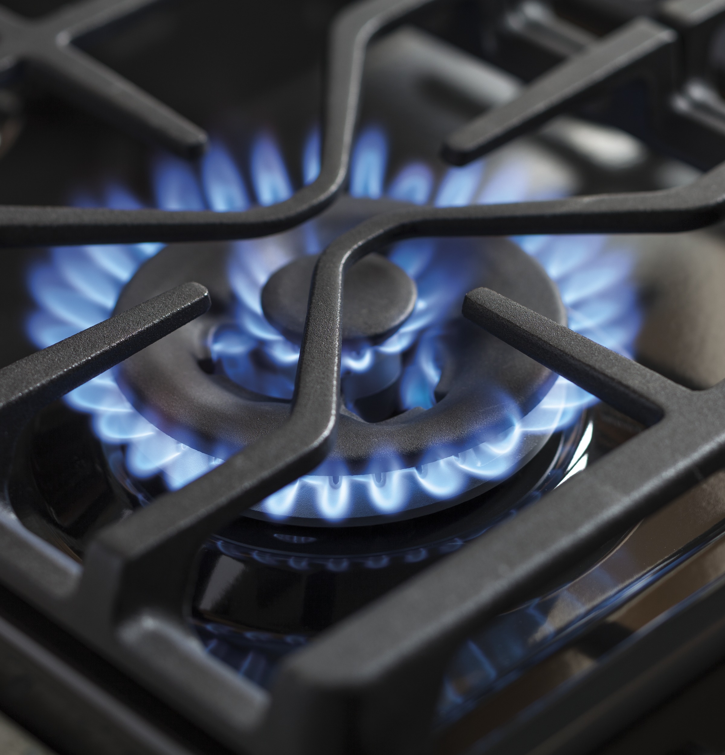 30" Free-Standing Gas Convection Range PGB930SEJSS