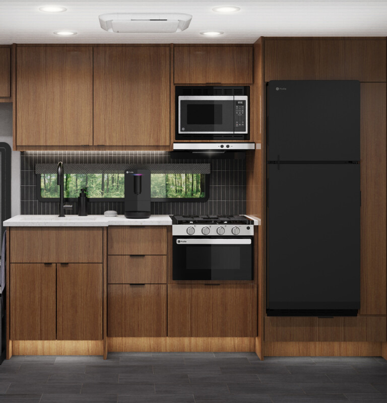 9.8 cu. ft. 12V DC Top-Freezer Refrigerator PPV10R5YRBB