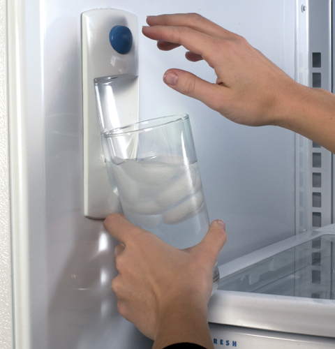 21.7 Cu. Ft. Stainless Top-Freezer Refrigerator with Internal Dispenser PTS22SHRBS