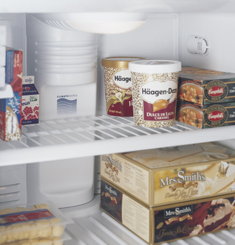 21.7 Cu. Ft. Stainless Top-Freezer Refrigerator with Internal Dispenser PTS22SHRBS