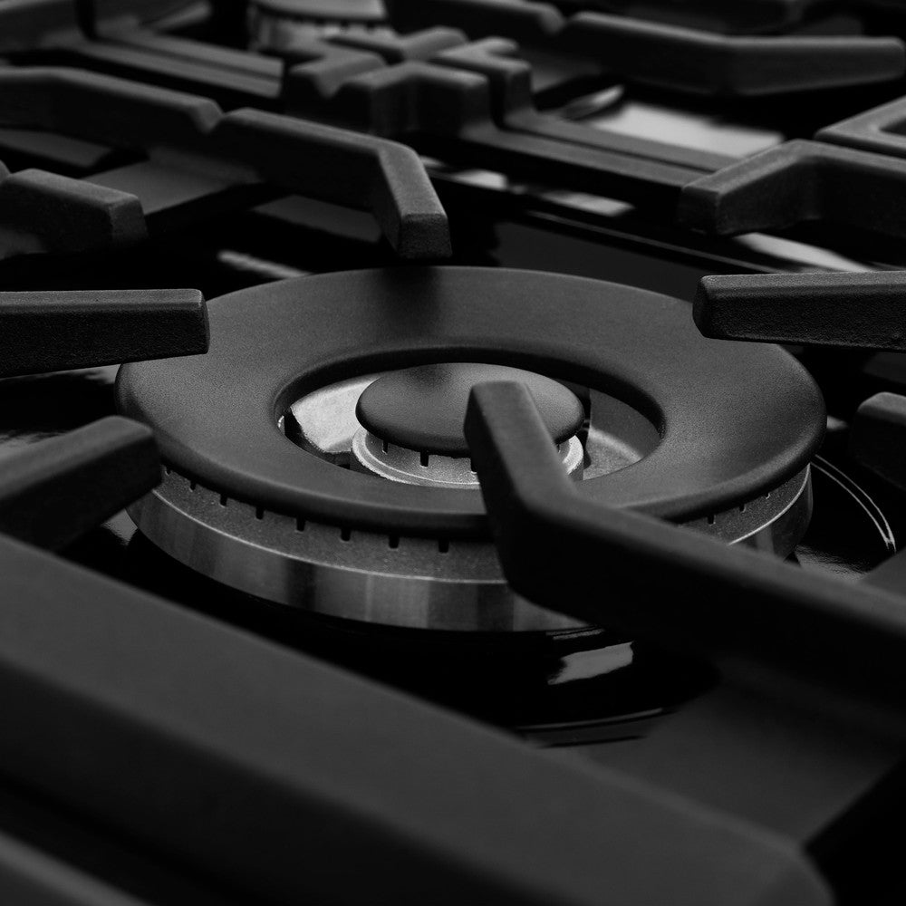 24" Professional Dual Fuel Range RAB24