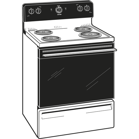 30" Free-Standing Electric Range RB525DPWH
