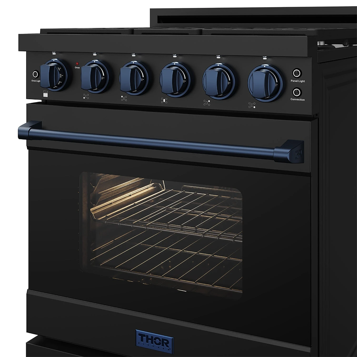 30 Inch Professional Gas With Precision Knob Control In Black/blue RSG30PBBLU