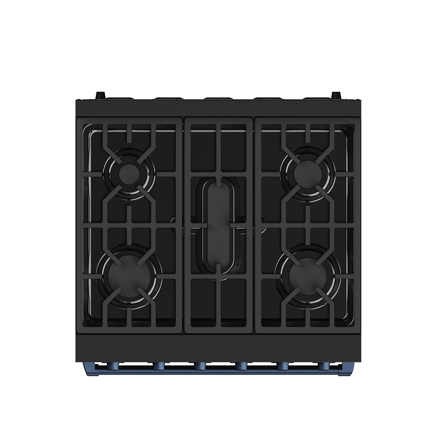 30 Inch Professional Liquid Propane With Precision Knob Control In Black/blue RSG30PBLPBLU