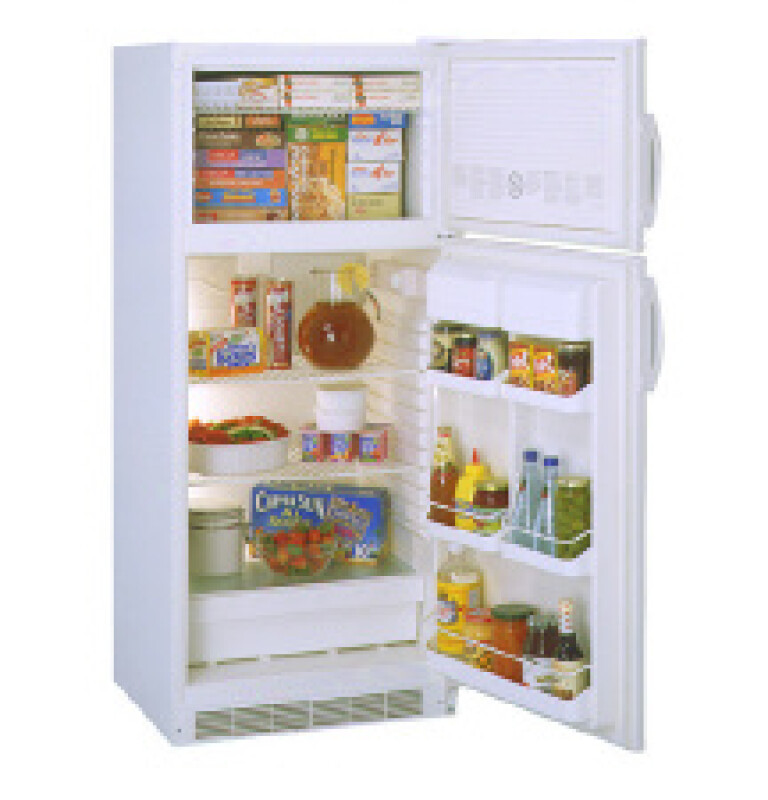 9.0 Cu. Ft. Cycle Defrost Refrigerator TDX9SNYWH