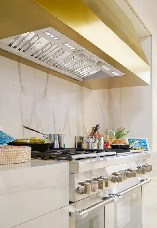 Professional Low-Profile Wall Hood 48" VCIN48GWS