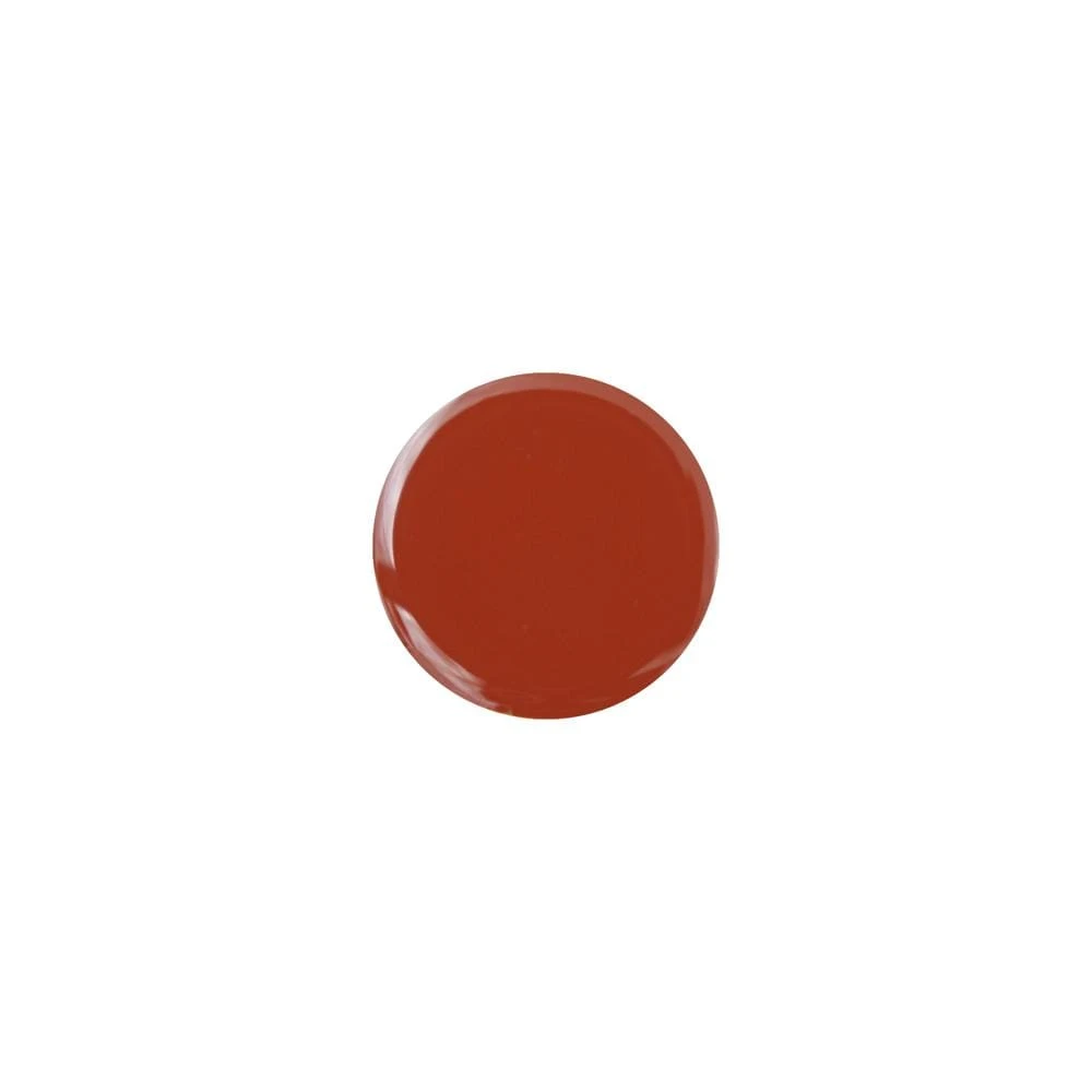 Touch-Up Paint with a Brush - Scorched Orange 0.6-oz W11397568SC