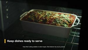 5.3 cu. ft.electric range with Frozen Bake technology WFE535S0JS