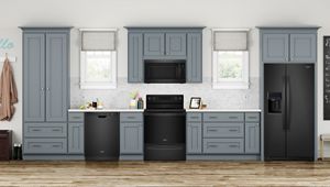 5.3 cu. ft.electric range with Frozen Bake technology WFE550S0HB