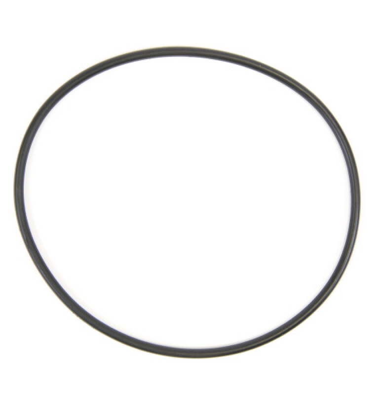 Water Filter O-ring WS03X10054