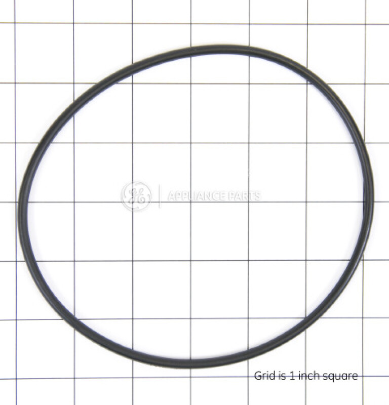 Water Filter O-ring WS03X10054
