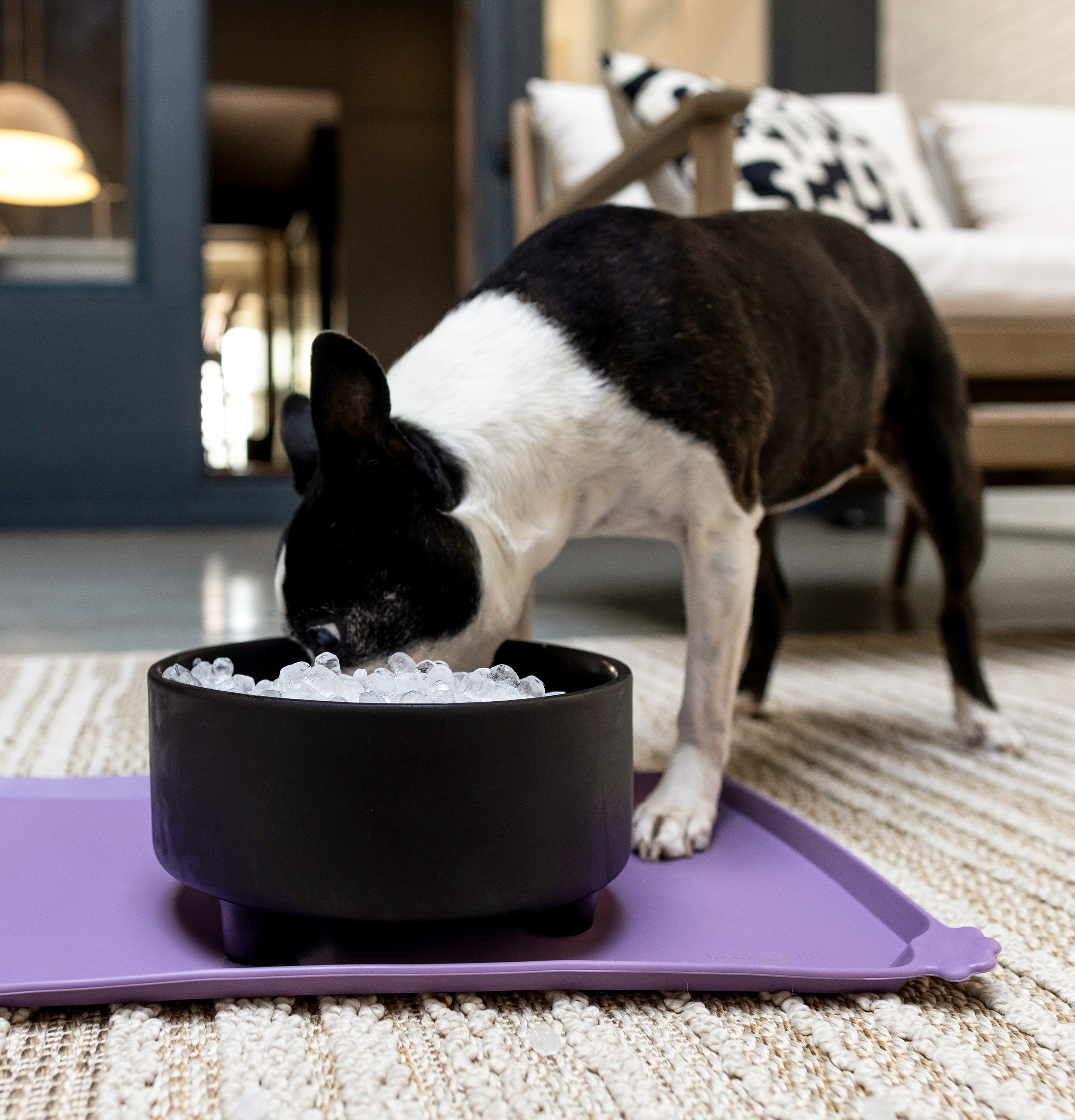 Opal 2.0 Nugget Ice Maker with Side Tank XPIO13SCSS