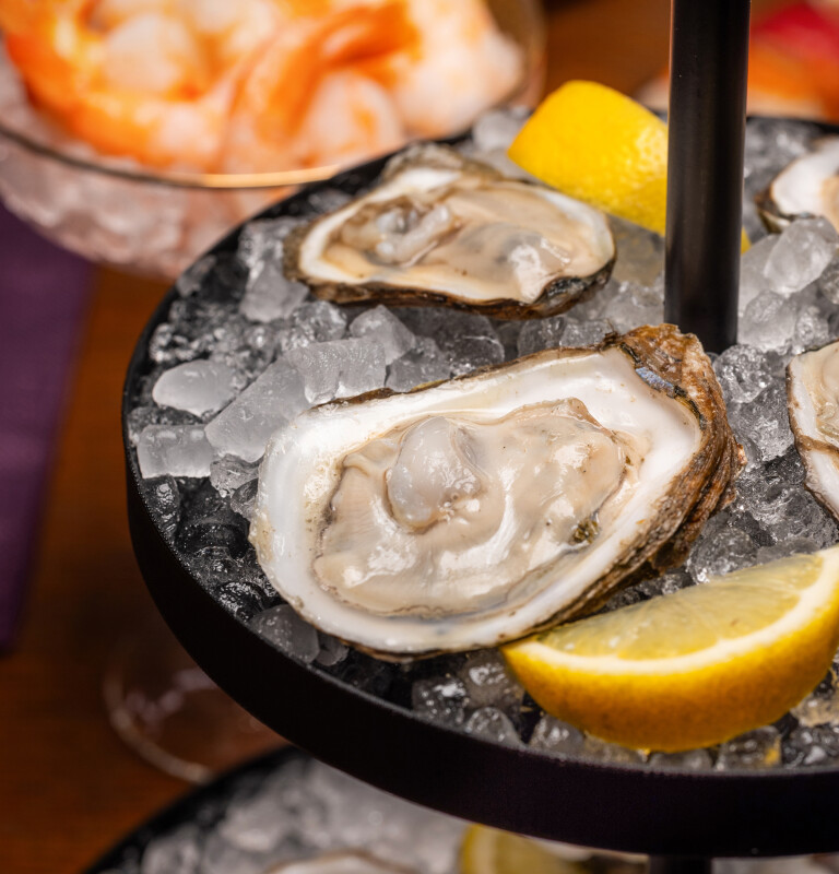 Opal 2.0 Ultra Nugget Ice Maker with Side Tank and Scale Inhibiting Filter XPIO13SWBB