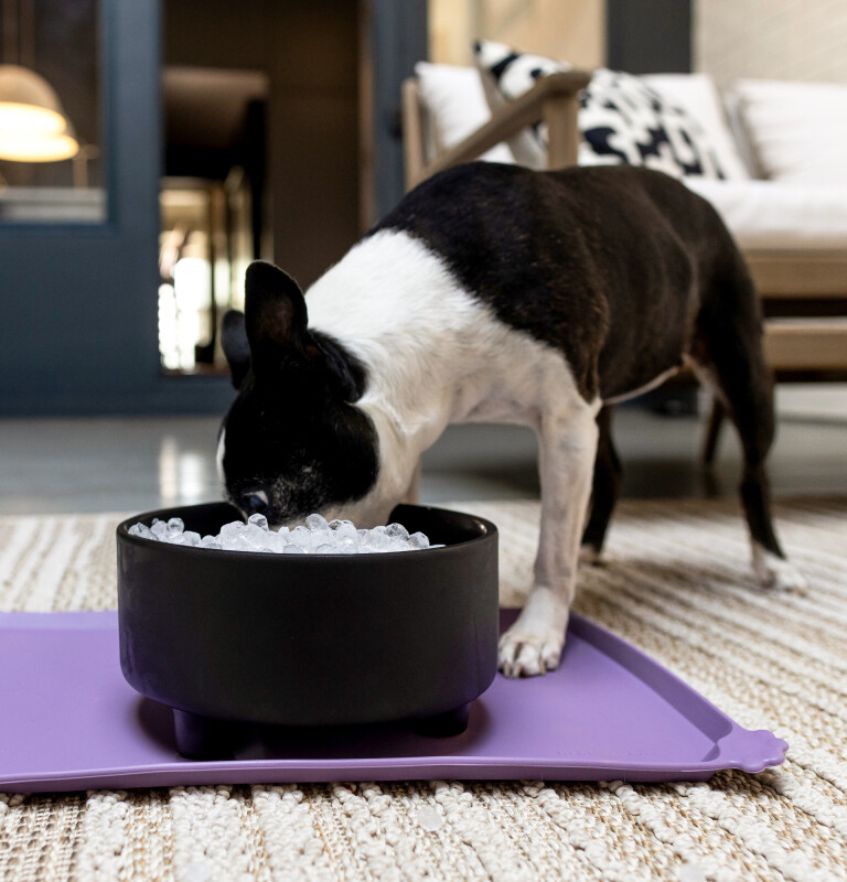 Opal 2.0 Ultra Nugget Ice Maker with Side Tank and Scale Inhibiting Filter XPIO13SWOW