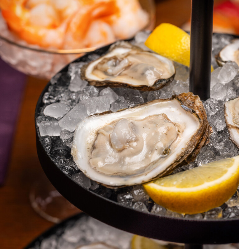 Opal 2.0 Ultra Nugget Ice Maker with Side Tank and Scale Inhibiting Filter XPIO13SWOW