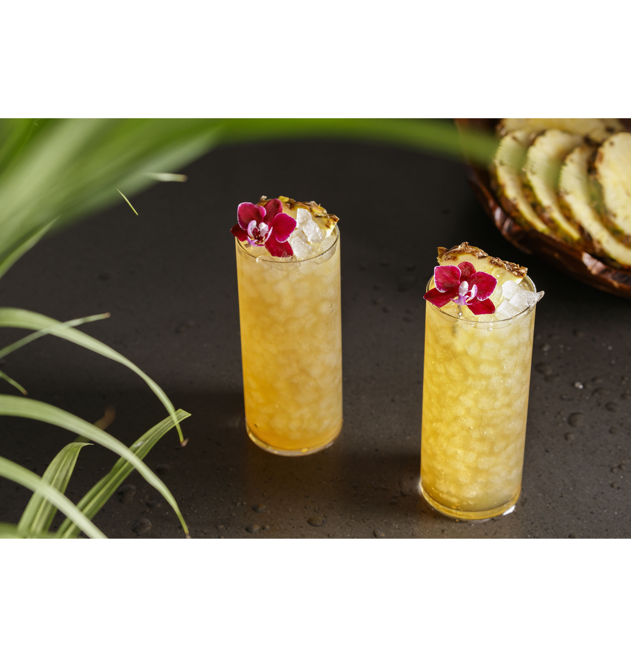 Opal 2.0 Nugget Ice Maker XPIO23SCSS