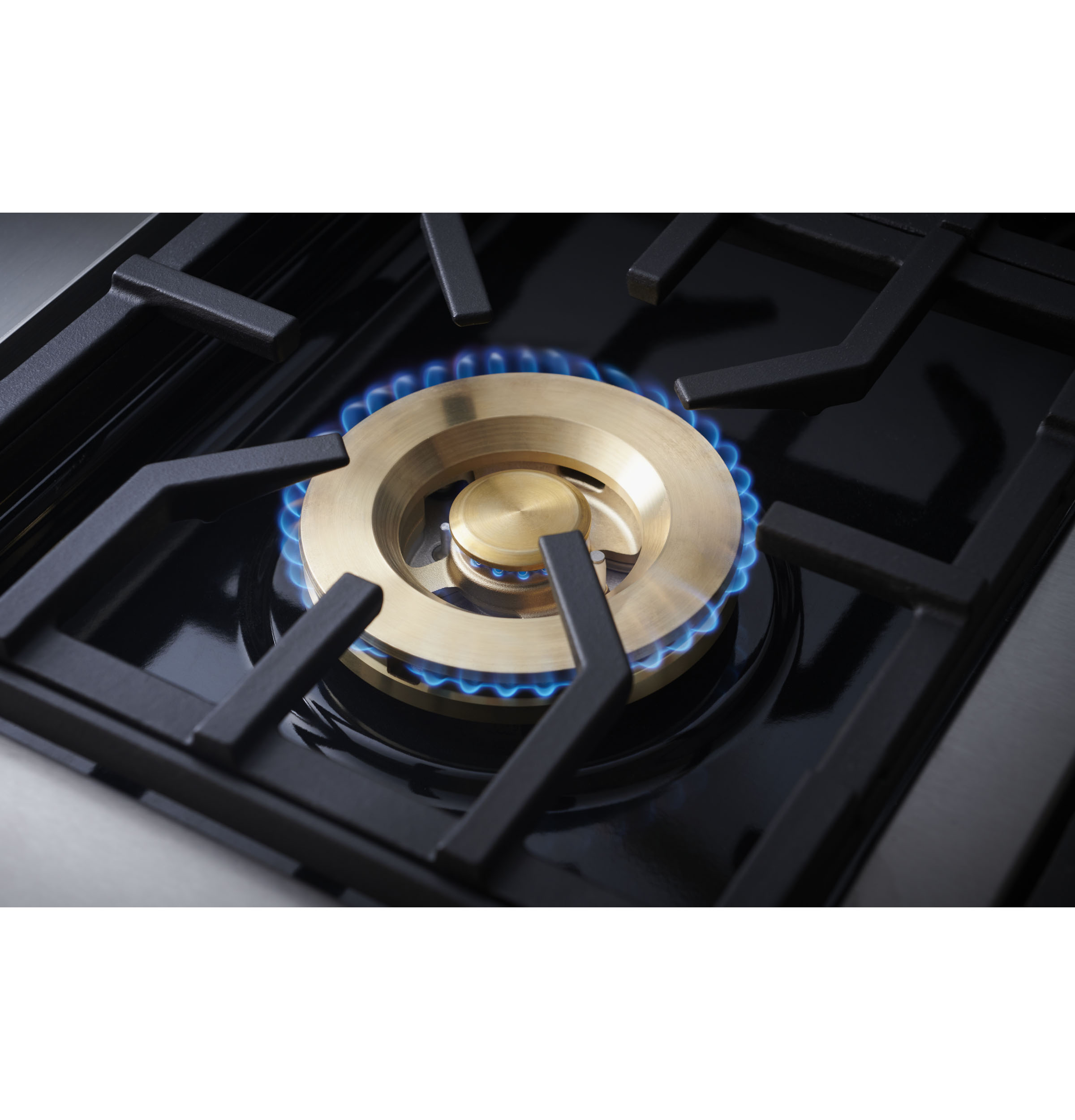 Monogram 48" Dual-Fuel Professional Range with 4 Burners, Grill, and Griddle ZDP484NGTSS
