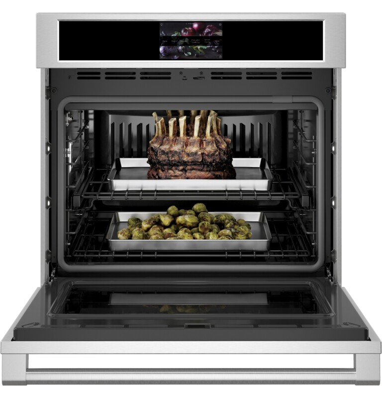 Monogram 30" Statement Single Wall Oven ZTS90DPSNSS